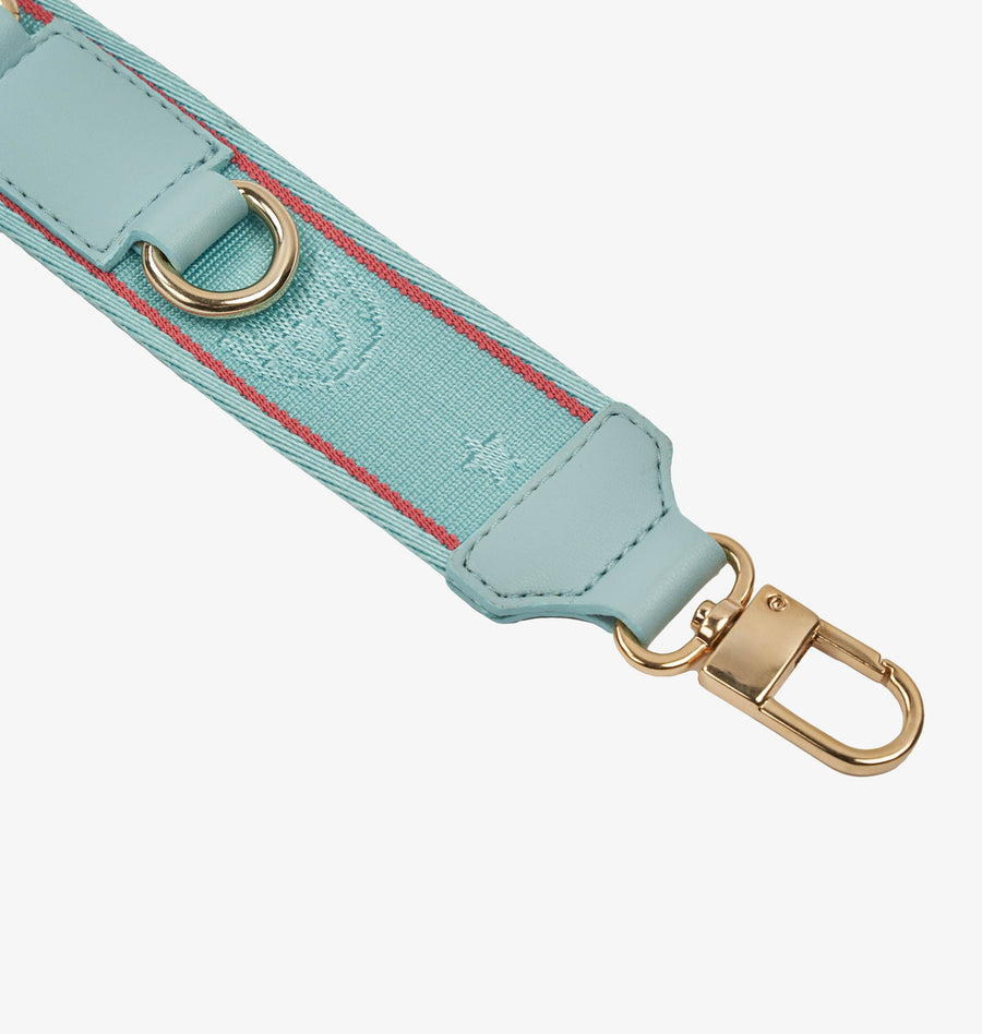 CFTR001_TANAGER-TURQUOISE#2